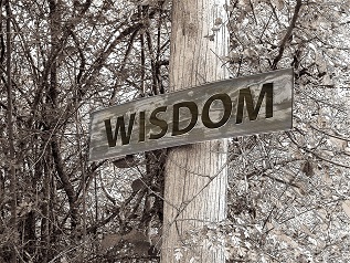 Sign with Wisdom Words on Tree in Woods